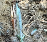Archaeologists Discover  3000 Year Old Sword In Germany