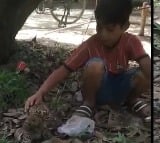 Boy playing with a leopard cub in uttar pradesh meerut video is going viral