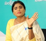 YS Sharmila denies reports of Andhra Congress chief appointment