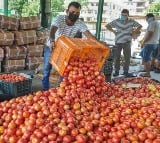 Tomato prices skyrocket due to monsoon delay and deficient rains