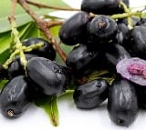 health benefits with Jamun fruit