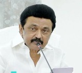 Yes we are doing family politics says Stalin