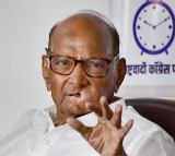 Sharad Pawar rejects speculation that Ajit Pawars rebellion has his blessings