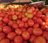 Tomato prices reach Rs 160 for KG