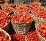 Tamil Nadu Govt starts sell tomato in ration shops rs 60 per kg 