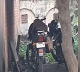 Monkey steals rs one and half lakh from bag on a bike in uttarpradesh