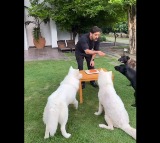 Dhoni birthday party with pets 