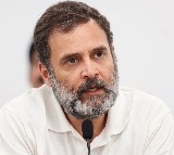 Rahul Gandhi moves SC against Gujarat HC refusing to stay his conviction