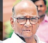 NCP Rebel Camps Shock Meet With Sharad Pawar
