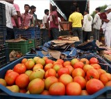 Pune Farmer Becomes Millionaire Amid Rising Tomato Prices Earns Rs 3 Cr in one month