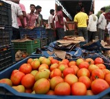 Farmer turns crorepathi by selling tomatoes
