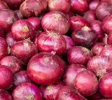 govt irradiating onions to preserve them over longer periods for curbing price rise