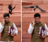 Raghav Chadha gets attacked by crow BJP quips jhooth bole kauvva kate
