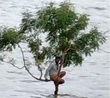 Telangana man stranded on tree for hours amid heavy flood water