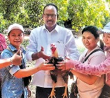 Thailand youth came to west godavari dist to by cock