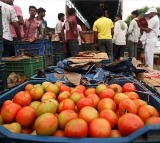 Record price for tomatoes in madanapalle market