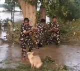 Andhra Police rescue puppies after dog seeks help