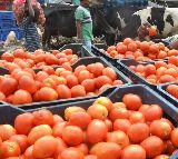 Tomato price touches Rs 200/kg in TN as rain hits crop in K'taka, Andhra