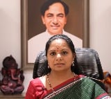 Kavitha meets Company delegates in Hyderabad