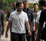 Termed 'arrogant' because refused to apologise in ‘Modi surname' defamation case: Rahul to SC