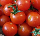 Tomato Price In Hyderabad Coming Down