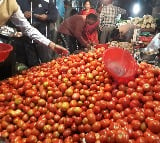tomato prices have gone down in madanapalle market