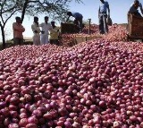 Center to release onion buffer stock into market to curb price rise