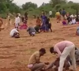 People throng Andhra village for diamond hunting