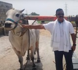 Betting bulls sold for one crore rupees video goes viral