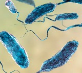 Three dead in Connecticut and New York post contacting rare flesh eating bacteria