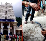 Special prayers in K'taka temple on Nag Panchami for Chandrayaan-3 mission success
