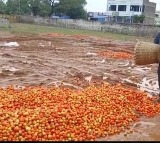 Tomato prices dips after three months