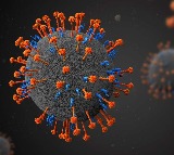 Nipah virus in kerala identified as bangladesh variant