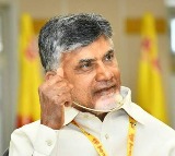 Special medical team for Chandrababu in Jail