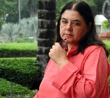 Major row erupts over Maneka Gandhi's ISKCON is the 'biggest cheat' remark, society denies charge