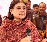 ISKCON sells cows from their gaushalas to butchers alleges Maneka Gandhi