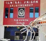 Fogging Around Rajahmundry Central Jail To Control Mosquitoes