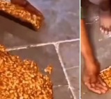 Love peanut chikki After watching this video you might think twice before buying it