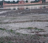 Has Yamuna become India’s river of sorrow?
