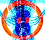 India’s nephrology, urology device mkt to grow at 4% CAGR by 2030: Report