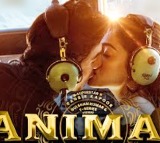 ‘Hua Main’ from ‘Animal’ blends heartfelt romance with gangster swag