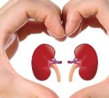 Foods that you should not consume if you have kidney related issues