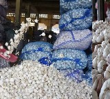 Dip In Supply Pushes Garlic Prices To Rs 280 Per Kg In Retail