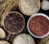 Understanding different rice types that fit your culinary choices