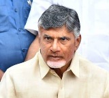 Chandrababu supporters to participate in lets metro for cbn peaceful protest