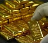 Telangana's pre-poll cash, gold seizure cross Rs 300 crore