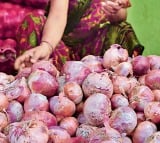 Onion prices rising ahead of festivals season