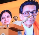 India needs strong govt, but no brute majority for a single party, says Thackeray