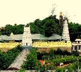 Snake Movement In Basara Gnanasaraswati Temple Video