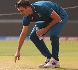 Aussies captain Pat Cummins opines on world cup final pitch